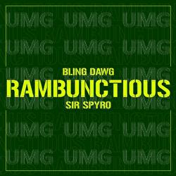 Rambunctious - Sir Spyro, Bling Dawg