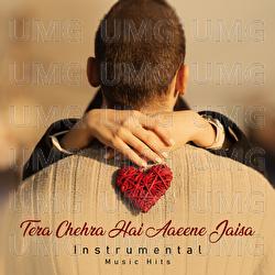 Tera Chehra Hai Aaeene Jaisa - Jagjit Singh, Shafaat Ali