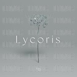 Lycoris - Nornis