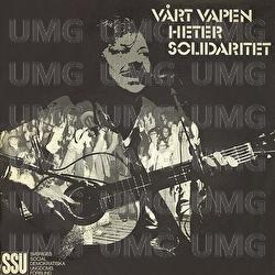 V&aring;rt vapen heter solidaritet - Thorstein Bergman