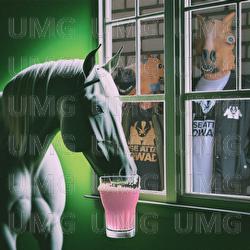 Sippaa nakkivesi - Horse  Attack Sqwad
