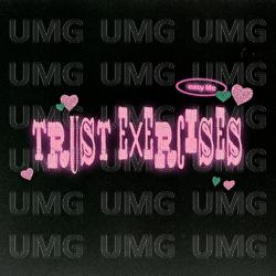 trust exercises - easy life