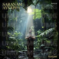 Saranam Ayyappa - Siddarth