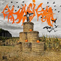 cause i can - emonik, MFG, directed by kooza