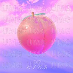 Peach Juice - ELAIZA