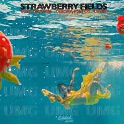 Strawberry Fields - Vino Grande, LUUN, D&iacute;bora Matos