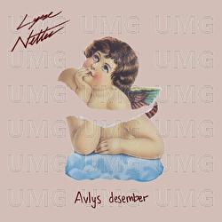 Avlys Desember - Lyse Netter