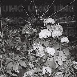 kontrollverlust - Edwin Rosen