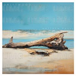 Driftwood - Matthew Paull