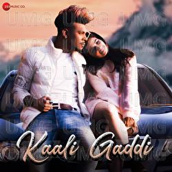 Kaali Gaddi - Aniket Sambyal