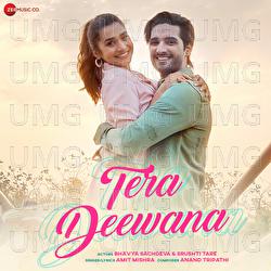 Tera Deewana - Anand Swaroop Tripathi, Amit Mishra