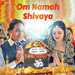 Om Namah Shivaya - Kartikeya Tiwari, Anuradha Paudwal, Dilip Mehta