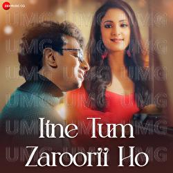 Itne Tum Zaroorii Ho - Deepp C