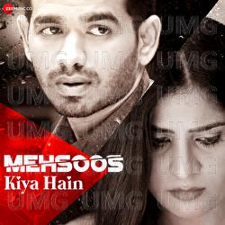 Mehsoos Kiya Hain - Souvik Kabi