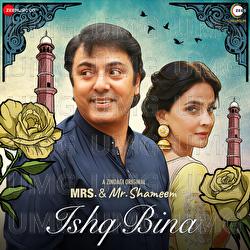 Ishq Bina - Zain Ali, Abeer Hussain, Zohaib Ali