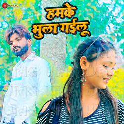 Hamke Bhula Gailu - Raj Gajipuri, Amarjit Kumar