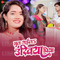 Bhul Gaela Ukhiya Piya - Sona Singh, Priyanshu Singh