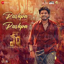 Pushpa Pushpa - Vikram Pitty, Arjun Janya