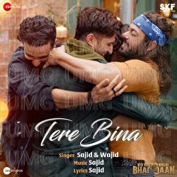 Tere Bina - Sajid Wajid