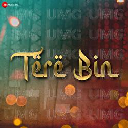 Tere Bin - Shani Arshad