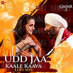 Udd Jaa Kaale Kaava LoFi by DJ Raahul Pai & Deejay Rax - Udit Narayan, Alka Yagnik, Mithoon