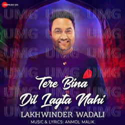 Tere Bina Dil Lagta Nahi - Lakhwinder Wadali, Anmol Malik