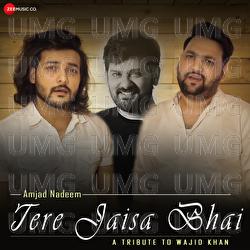 Tere Jaisa Bhai - A Tribute to Wajid Khan - Amjad Nadeem Aamir, Amjad Khan, Nadeem Khan