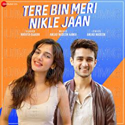 Tere Bin Meri Nikle Jaan - Nikhita Gandhi, Amjad Nadeem Aamir