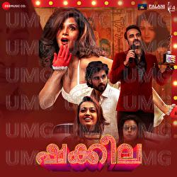 Taara - Nincy Vincent, Veer Samarth