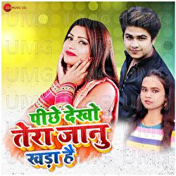 Pichhe Dekho Tera Jaanu Khada Hai - Raja Bhattacharya, Sonu Sargam, Vineet Tiwari