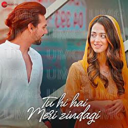 Tu Hi Hai Meri Zindagi - Jubair Muhammed, Nikhil D'Souza, Vineeth Sreenivasan