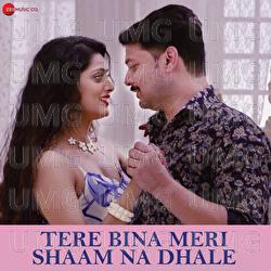 Tere Bina Meri Shaam Na Dhale - Vikram Kumar, Vikrant Bhartiya, Parijat Chakraborti