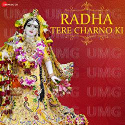 Radhe Tere Charno Ki - Vinit Shrivastav, Amjad Nadeem