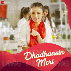 Dhadkanein Meri - Yasser Desai, Asees Kaur, Rashid Khan
