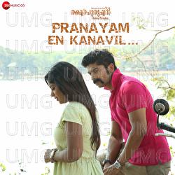 Pranayam En Kanavil - Jibin George Sebastian, Najim Arshad