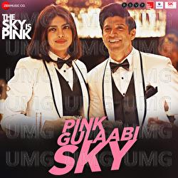Pink Gulaabi Sky - Pritam, Shashwat Singh, Jonita Gandhi