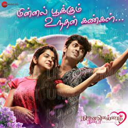 Minnal Pookkum Undhan Kanka - Karthik, Ilaiyaraaja