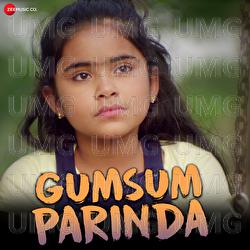 Gumsum Parinda - Sarthak NakulKavyaa Soni