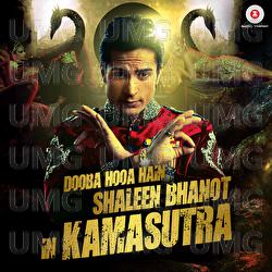 Dooba Hooa Hain.. Kamasutra - Taz, Stereo Nation