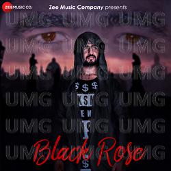 Black Rose - Nik