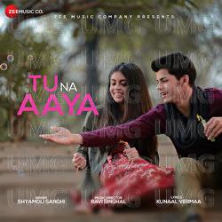Tu Na Aaya - Ravi Singhal