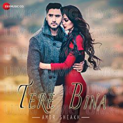 Tere Bina - Amir Sheakh