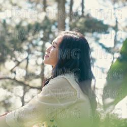 Nhu Lan Dau - Nguyen Ha