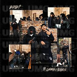 WDIW? - TS Lagga, Shakes