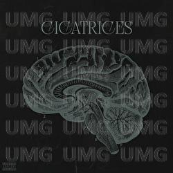 Cicatrices - USKY