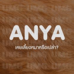 Koey Lieng Mah Rue Praw? - Anya