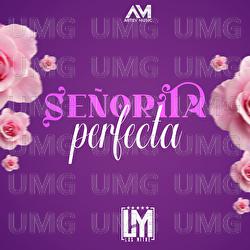 Se&ntilde;orita Perfecta - Los Mitre