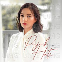 Pujuk Hati - Erin CTJ