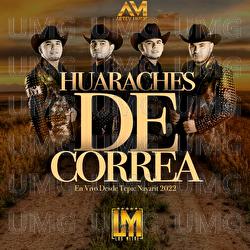 Huaraches De Correa - Los Mitre