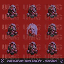 Toxic - Groove Delight